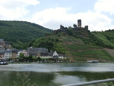 Foto 4
