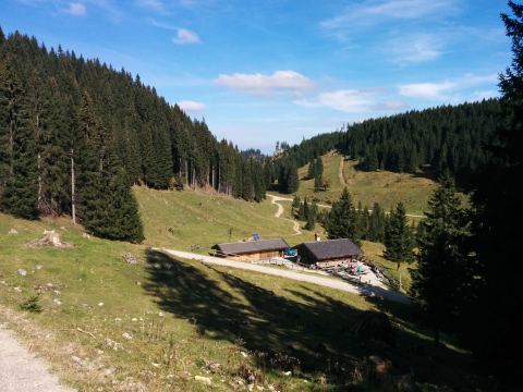 Foto 6