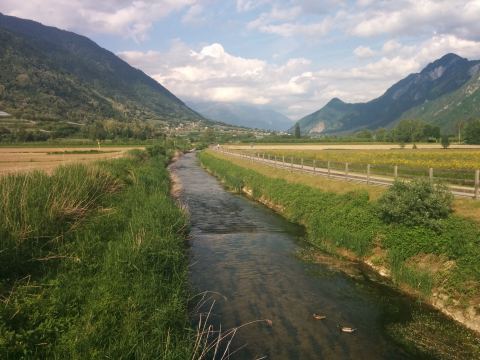 Foto 4