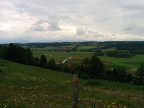 Foto 1