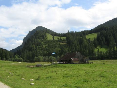 Foto 1