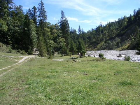 Foto 3